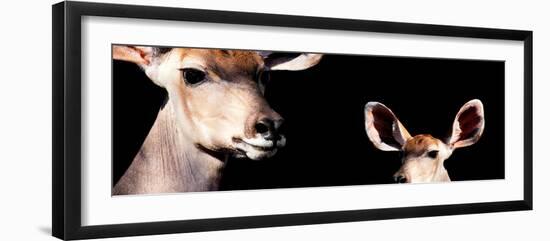 Safari Profile Collection - Antelope and Baby Black Edition III-Philippe Hugonnard-Framed Photographic Print