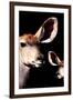 Safari Profile Collection - Antelope and Baby Black Edition V-Philippe Hugonnard-Framed Photographic Print