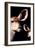 Safari Profile Collection - Antelope and Baby Black Edition V-Philippe Hugonnard-Framed Photographic Print