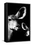 Safari Profile Collection - Antelope and Baby Black Edition VI-Philippe Hugonnard-Framed Stretched Canvas