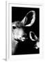 Safari Profile Collection - Antelope and Baby Black Edition VI-Philippe Hugonnard-Framed Photographic Print