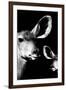 Safari Profile Collection - Antelope and Baby Black Edition VI-Philippe Hugonnard-Framed Photographic Print