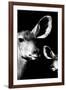 Safari Profile Collection - Antelope and Baby Black Edition VI-Philippe Hugonnard-Framed Photographic Print