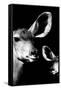 Safari Profile Collection - Antelope and Baby Black Edition VI-Philippe Hugonnard-Framed Stretched Canvas