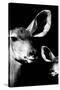 Safari Profile Collection - Antelope and Baby Black Edition VI-Philippe Hugonnard-Stretched Canvas