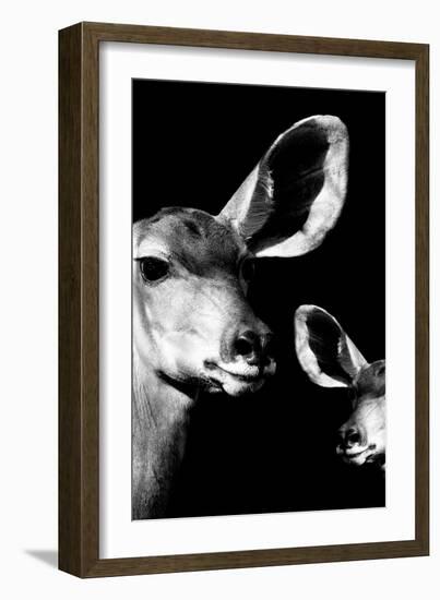 Safari Profile Collection - Antelope and Baby Black Edition VI-Philippe Hugonnard-Framed Photographic Print