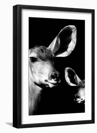 Safari Profile Collection - Antelope and Baby Black Edition VI-Philippe Hugonnard-Framed Photographic Print