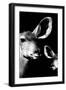 Safari Profile Collection - Antelope and Baby Black Edition VI-Philippe Hugonnard-Framed Photographic Print