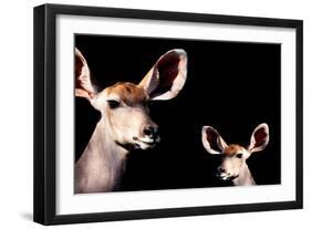 Safari Profile Collection - Antelope and Baby Black Edition-Philippe Hugonnard-Framed Photographic Print