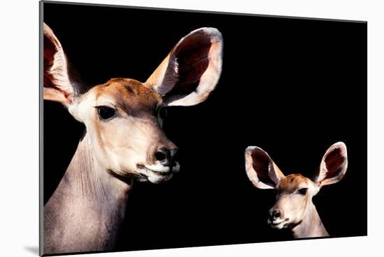 Safari Profile Collection - Antelope and Baby Black Edition-Philippe Hugonnard-Mounted Photographic Print