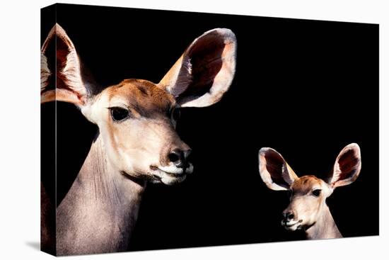 Safari Profile Collection - Antelope and Baby Black Edition-Philippe Hugonnard-Stretched Canvas