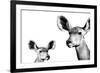 Safari Profile Collection - Antelope and Baby White Edition II-Philippe Hugonnard-Framed Photographic Print