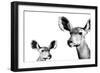 Safari Profile Collection - Antelope and Baby White Edition II-Philippe Hugonnard-Framed Photographic Print