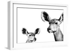 Safari Profile Collection - Antelope and Baby White Edition II-Philippe Hugonnard-Framed Photographic Print