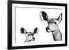 Safari Profile Collection - Antelope and Baby White Edition II-Philippe Hugonnard-Framed Photographic Print