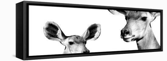 Safari Profile Collection - Antelope and Baby White Edition IV-Philippe Hugonnard-Framed Stretched Canvas