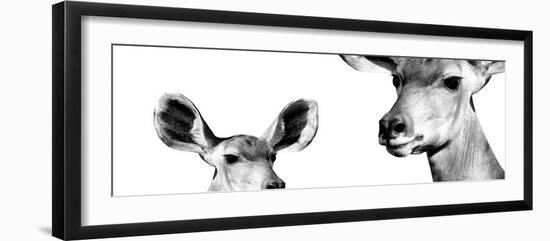 Safari Profile Collection - Antelope and Baby White Edition IV-Philippe Hugonnard-Framed Photographic Print