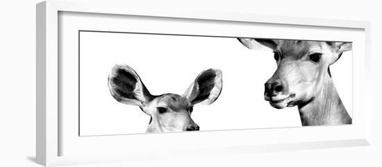 Safari Profile Collection - Antelope and Baby White Edition IV-Philippe Hugonnard-Framed Photographic Print