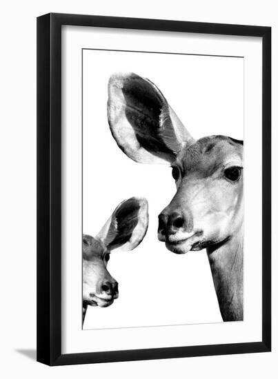 Safari Profile Collection - Antelope and Baby White Edition VI-Philippe Hugonnard-Framed Premium Photographic Print