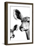 Safari Profile Collection - Antelope and Baby White Edition VI-Philippe Hugonnard-Framed Photographic Print