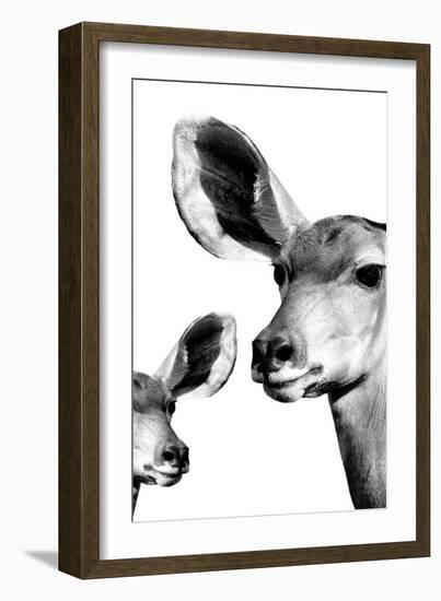 Safari Profile Collection - Antelope and Baby White Edition VI-Philippe Hugonnard-Framed Photographic Print