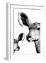 Safari Profile Collection - Antelope and Baby White Edition VI-Philippe Hugonnard-Framed Photographic Print