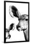 Safari Profile Collection - Antelope and Baby White Edition VI-Philippe Hugonnard-Framed Photographic Print