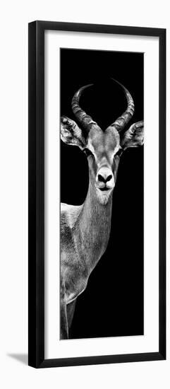 Safari Profile Collection - Antelope Black Edition III-Philippe Hugonnard-Framed Photographic Print