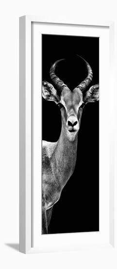 Safari Profile Collection - Antelope Black Edition III-Philippe Hugonnard-Framed Photographic Print
