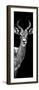 Safari Profile Collection - Antelope Black Edition III-Philippe Hugonnard-Framed Premium Photographic Print