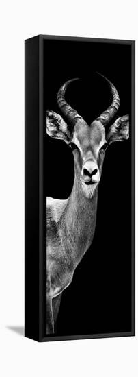 Safari Profile Collection - Antelope Black Edition III-Philippe Hugonnard-Framed Stretched Canvas