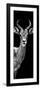 Safari Profile Collection - Antelope Black Edition III-Philippe Hugonnard-Framed Photographic Print