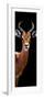 Safari Profile Collection - Antelope Black Edition IV-Philippe Hugonnard-Framed Photographic Print