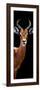 Safari Profile Collection - Antelope Black Edition IV-Philippe Hugonnard-Framed Photographic Print