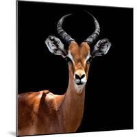 Safari Profile Collection - Antelope Black Edition VI-Philippe Hugonnard-Mounted Photographic Print