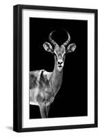 Safari Profile Collection - Antelope Black Edition-Philippe Hugonnard-Framed Premium Photographic Print