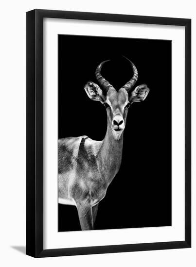 Safari Profile Collection - Antelope Black Edition-Philippe Hugonnard-Framed Premium Photographic Print