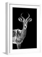 Safari Profile Collection - Antelope Black Edition-Philippe Hugonnard-Framed Photographic Print