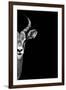 Safari Profile Collection - Antelope Face Black Edition-Philippe Hugonnard-Framed Photographic Print