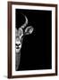 Safari Profile Collection - Antelope Face Black Edition-Philippe Hugonnard-Framed Photographic Print