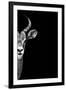 Safari Profile Collection - Antelope Face Black Edition-Philippe Hugonnard-Framed Photographic Print