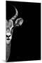 Safari Profile Collection - Antelope Face Black Edition-Philippe Hugonnard-Mounted Photographic Print