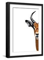 Safari Profile Collection - Antelope Face White Edition II-Philippe Hugonnard-Framed Photographic Print