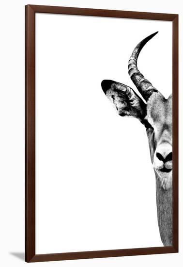 Safari Profile Collection - Antelope Face White Edition-Philippe Hugonnard-Framed Photographic Print