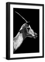 Safari Profile Collection - Antelope Impala Black Edition V-Philippe Hugonnard-Framed Premium Photographic Print