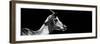 Safari Profile Collection - Antelope Impala Black Edition VII-Philippe Hugonnard-Framed Photographic Print