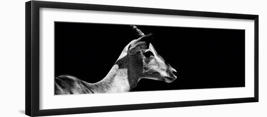 Safari Profile Collection - Antelope Impala Black Edition VII-Philippe Hugonnard-Framed Photographic Print