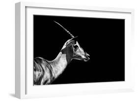 Safari Profile Collection - Antelope Impala Black Edition-Philippe Hugonnard-Framed Photographic Print