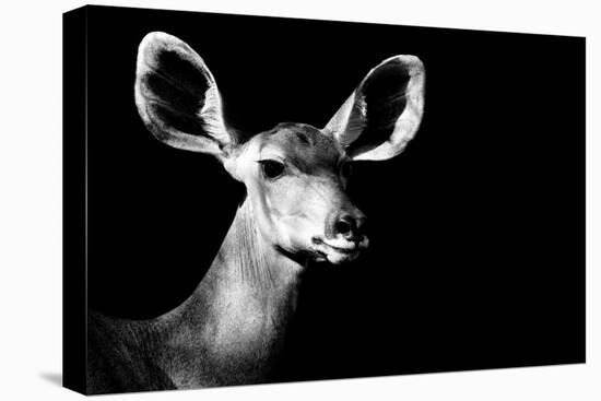 Safari Profile Collection - Antelope Impala Portrait Black Edition II-Philippe Hugonnard-Stretched Canvas