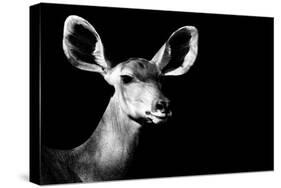 Safari Profile Collection - Antelope Impala Portrait Black Edition II-Philippe Hugonnard-Stretched Canvas